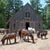 Winslow Farm is a non-profit organization and animal sanctuary in Norton, Massachusetts devoted to the rescue, rehabilitation, and care of mistreated and abandoned animals.  Click to read their news updates!